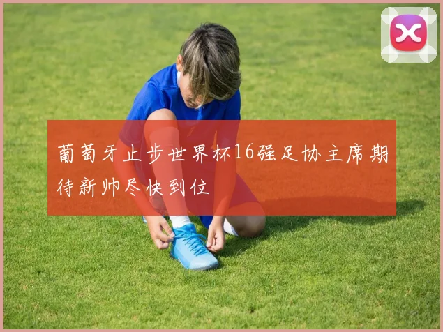 葡萄牙止步世界杯16强足协主席期待新帅尽快到位