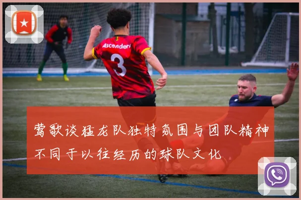 莺歌谈猛龙队独特氛围与团队精神不同于以往经历的球队文化