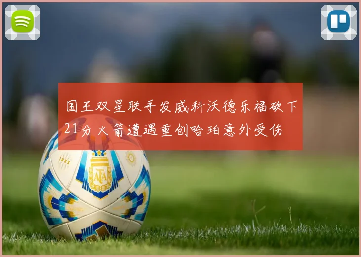 国王双星联手发威科沃德乐福砍下21分火箭遭遇重创哈珀意外受伤
